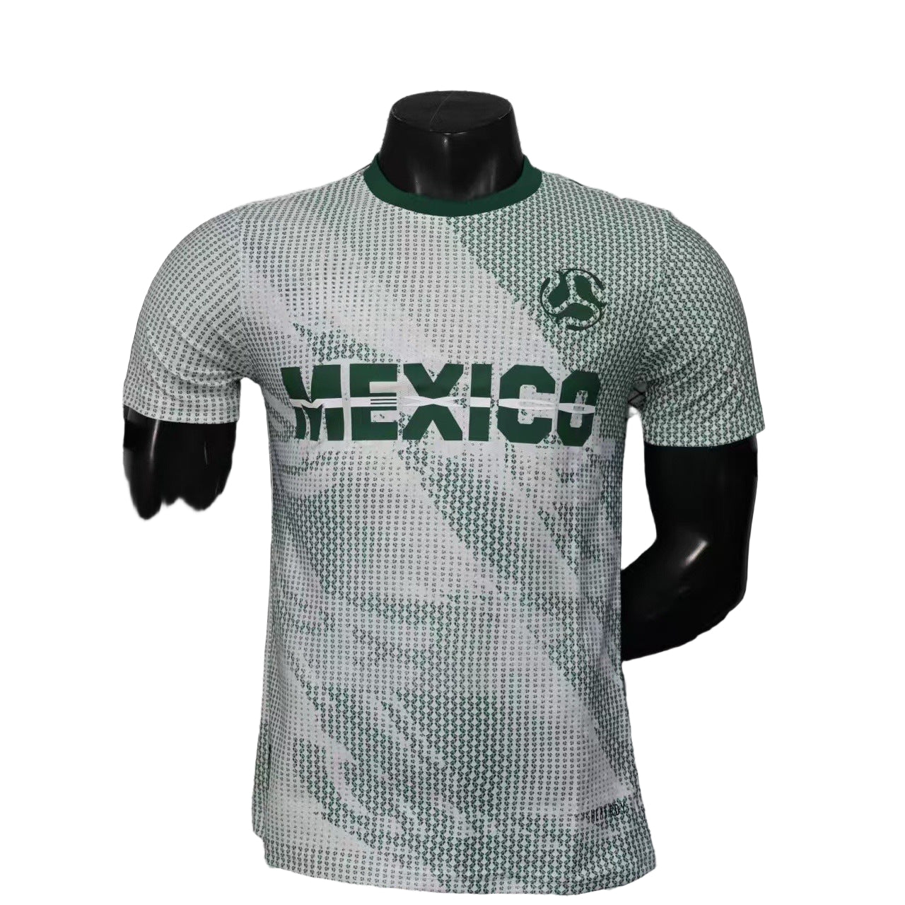 Mexique Entrainement 25/26